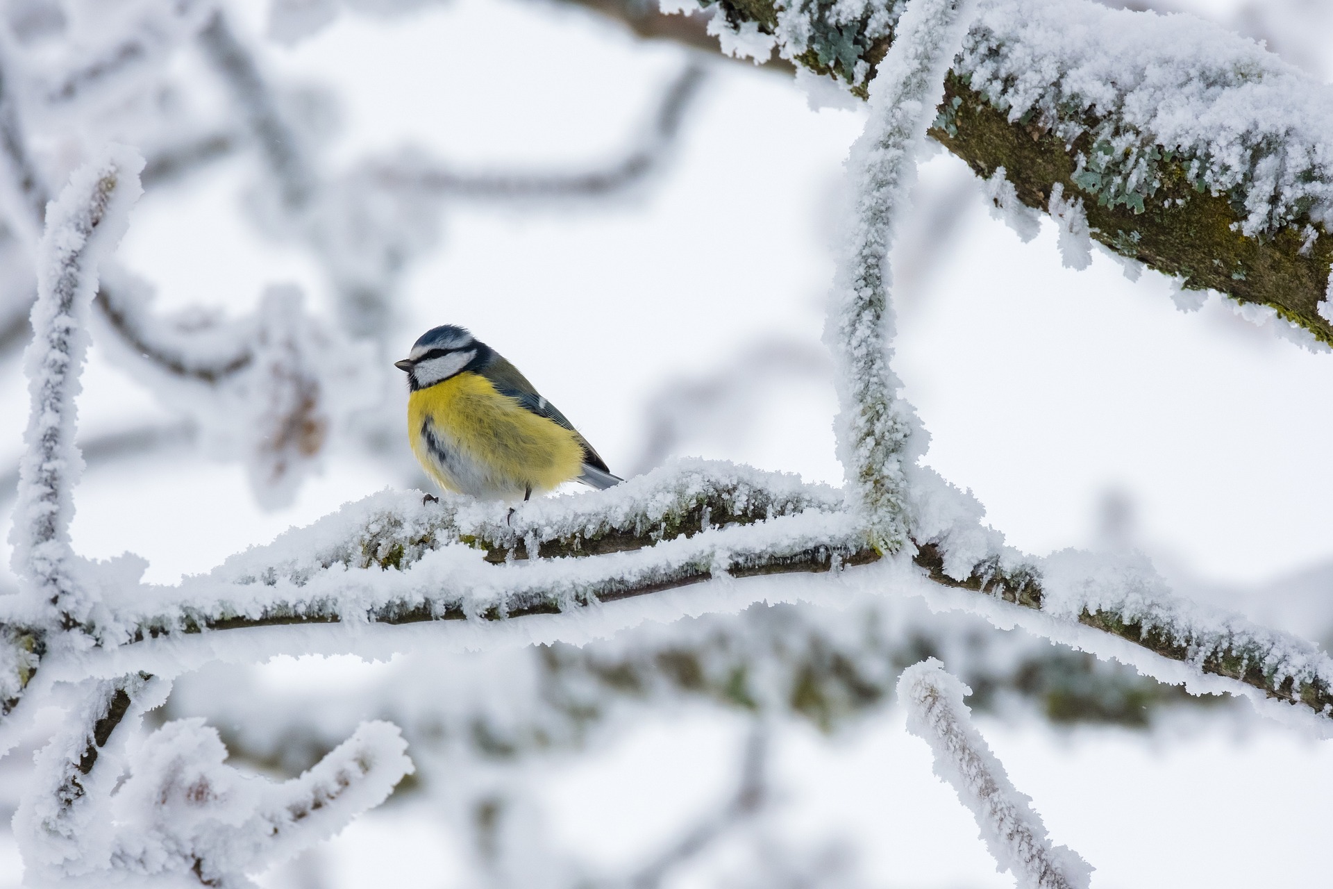 Guangdong Braces for Frosty Blast: Cold Wave Brings Sharp Temperature Drop and Travel Disruptions