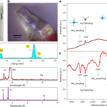 Scientists Discover Molecular Water in Lunar Soil for the First Time