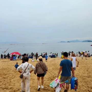 Residents Urged to Avoid Beach-Combing to Protect Coastal Ecosystem