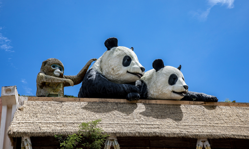 Promising Future for Giant Panda Breeding in Hong Kong with New Pair’s Arrival