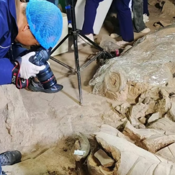 New Discovery at Terracotta Warriors Tomb Sheds Light on Qin Dynasty Military Hierarchy”