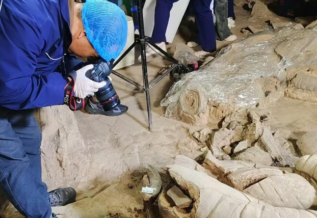 New Discovery at Terracotta Warriors Tomb Sheds Light on Qin Dynasty Military Hierarchy”